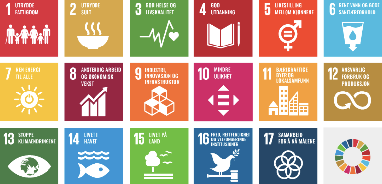 bilde av bærekraftsmål
